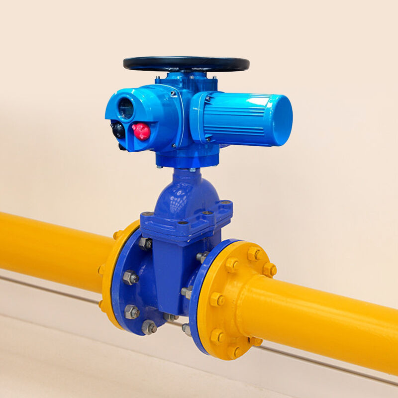 SONGO Cast Iron Flange Motorized Gate Valve On/off 380V Electric ...