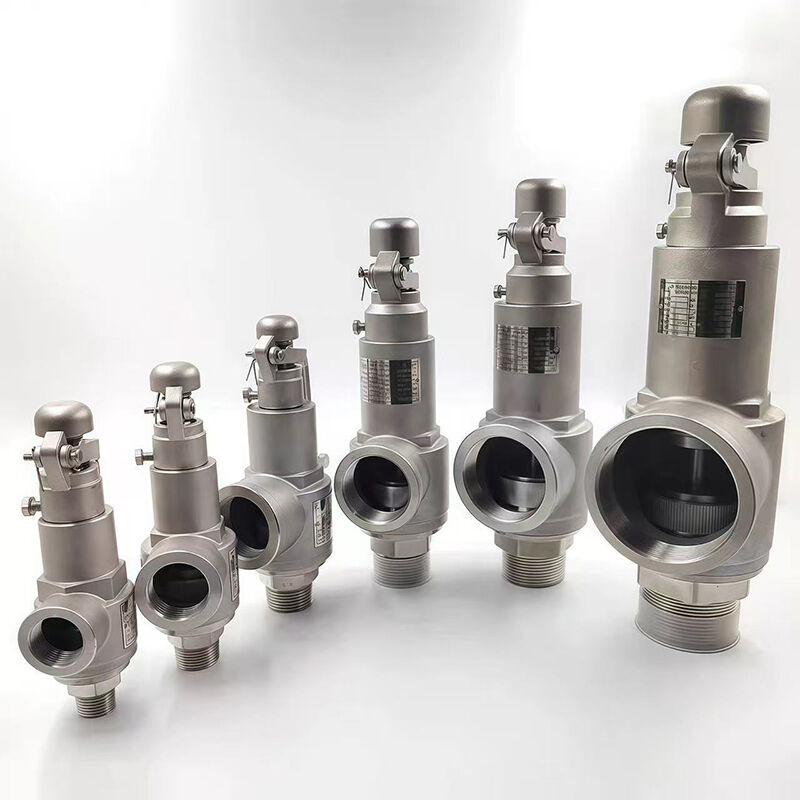 Ngo Tank Thread SS304 Thread Safety Valve for Steam Boiler Pressure Relief