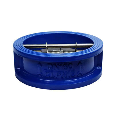 SONGO Ductile Iron Wafer Check Valve 8 Inch Dual Plate SS304 Disc Butterfly Type Wafer Check Valve