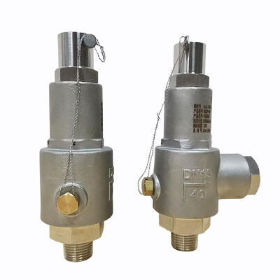 SS304 Cryogenic Relief Valve 1/2inch 5Mpa NPT Thread Spring Loaded For LOX