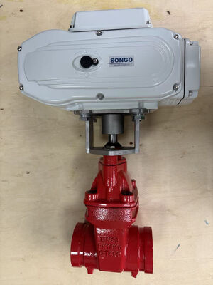 Un bon prix. SONGO Valve électrique à rainure en fonte pour système de lutte contre les incendies à l'eau en ligne