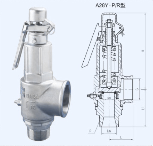 Ngo Tank Thread SS304 Thread Safety Valve for Steam Boiler Pressure Relief